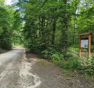 Trasa objazdowa wzniesienia łódzkie - Andrespol - 5