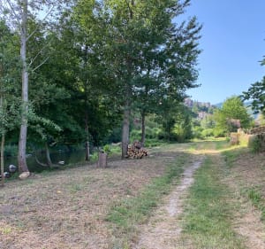 Petit tour à Camarès - Camarès - 5