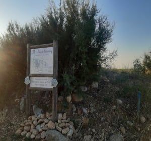CABESTANY Boucle campagne pour tous, 4h de marche au soleil - Perpignan - 3