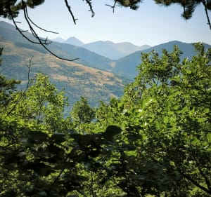 Cabane du Poyet - Didier - 2