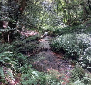 Boucle du ruisseau de Pen ar C'hoat - Saint-Divy - 4