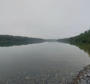 Tour du lac de Louet depuis Rabastens-de-Bigorre - Rabastens-de-Bigorre - 5