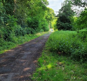 Boucle remplie de verdure à Compiègne - Margny-lès-Compiègne - 3