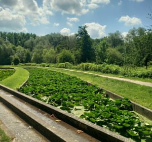 De l'UniLaSalle aux hortillonnages - Amiens - 5