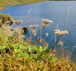 Rando Valtho - Les Menuires - Lac du Lou - Valtho - Les Belleville - 4