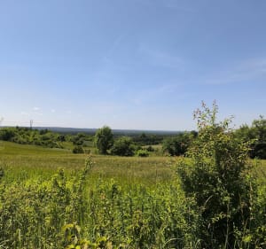 Częstochowa, Biskupice, Czatachowa, Dębowiec, Częstochowa - Częstochowa - 3