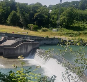 Balade autour du bois de Lourdes - Lourdes - 3