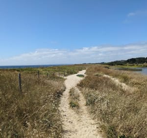 Entre mer et étangs vers Trévignon - Trégunc - 3