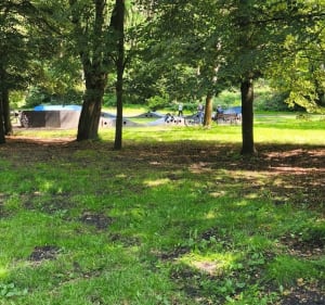Jezioro Rogoźnickie i park - Rogoźnik - 3