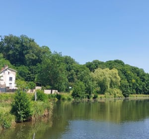Les étangs de Flavigny - Flavigny-sur-Moselle - 3