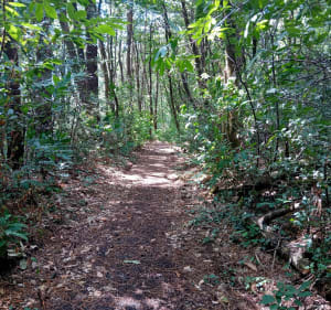 La carrière de Cheffois - Cheffois - 3