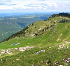 Randonnée au crêt de Chalam - La Pesse - 5