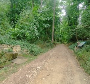 Circuit sur les hauteurs de Turckheim - Turckheim - 3