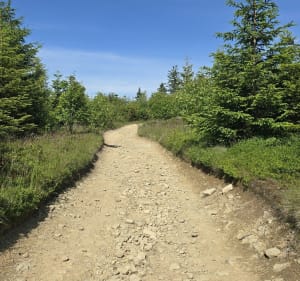Ćwilin 1072 m n.p.m. - Wilczyce - 4