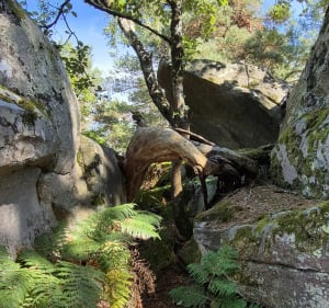 Entre rochers et sentiers prés de la Fontaine Maria - Fontainebleau - 4