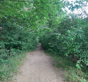 Spacer wzdłuż wału nad Slezą - Wrocław - 4