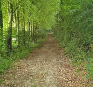 Randonnée du Bois de Caux - Saint-Martin-de-l'If - 3