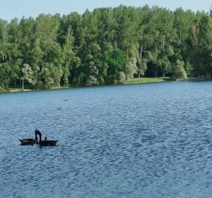 Sortie matinale en partant à la fraîche depuis Mezel - Mur-sur-Allier - 5
