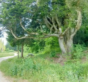 Tour du site de la Praille - Plateau d'Hauteville - 4