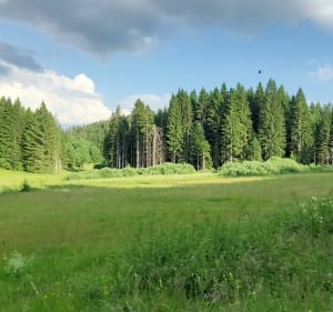 Tour du site de la Praille - Plateau d'Hauteville - 5