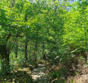 Descente de Martres à la Goul - Murols - 4