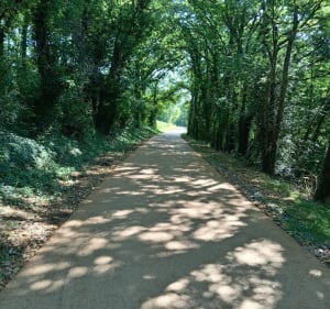 Hauteur de Pouilly le Monial : par voie taco et vignes - Porte des Pierres Dorées - 3