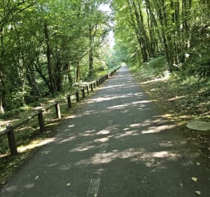 Balade sur la voie verte, et le long du canal de la Meuse - Haraucourt - 3