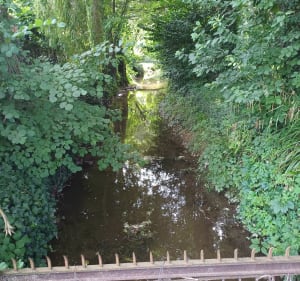 Balade autour de Bretteville - Bretteville-sur-Odon - 5