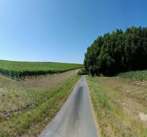Le plateau de Civray-de-Touraine - Civray-de-Touraine - 3