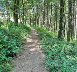 Solbach, Mont Saint-Jean et Col de la Pérheux - Solbach - 3