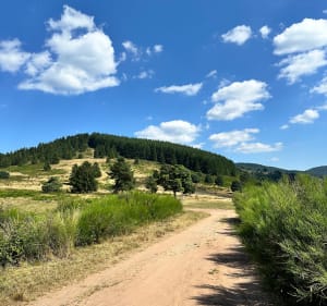 Solbach, Mont Saint-Jean et Col de la Pérheux - Solbach - 5