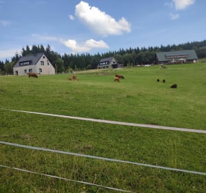 Ze schroniska Srebrny Potok na Małą Upę - Jarkowice - 4