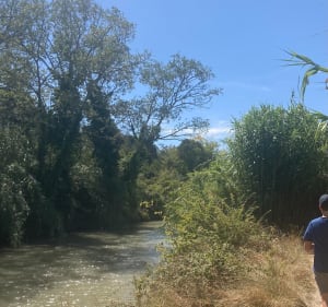 Des Écluses à Colombiers, le long du Canal du Midi - Béziers - 3