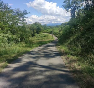 Parcours VTC à Monein, Parbayse et Abos - Monein - 3