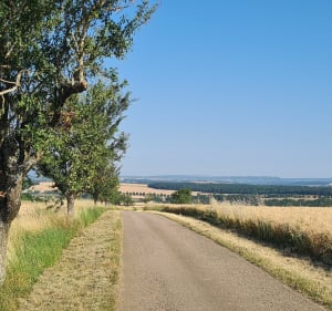 Entre champs et canal à Lebeuville - Celine - 4