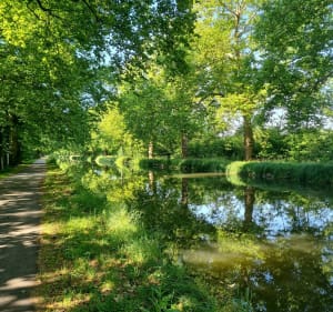 Entre champs et canal à Lebeuville - Lebeuville - 3
