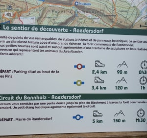 Sentier de découverte de Raedersdorf - Raedersdorf - 4