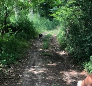 Boucle de Caix à Cayeux-en-Santerre - Caix - 3