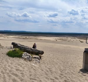 Pogoria-pystynia - Sosnowiec - 3