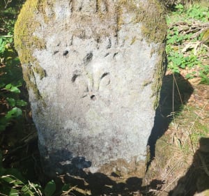 Balade de Jojo forêt de la planoise - Antully - 5