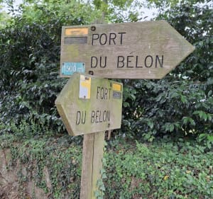 Circuit du Port de Bélon - Riec-sur-Bélon - 4