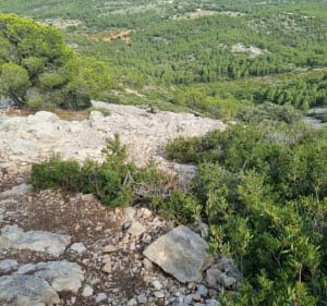 Torre Ebri - Alcossebre - 3
