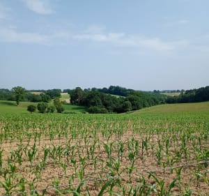 Sentier du Bruel - Saint-Illide - 3