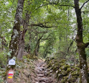 Roquelaure et sa coulée de Lave - Lassouts - 3