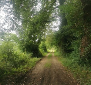 Le bois de Baliros - Baliros - 3