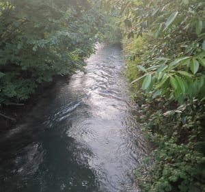 Petite balade Noyelles sur Escaut Cantaing - Noyelles-sur-Escaut - 4