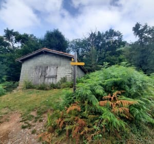 Balade à Urdoze - Saint-Étienne-de-Baïgorry - 3