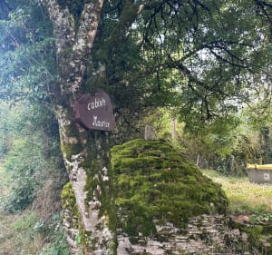 Parcours de la Combe - Hauteville-lès-Dijon - 3