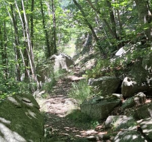 Refuge de Sant-Guillem - Le Tech - 3