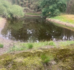 Slenk route (klotterpeel) - De Rips - 3